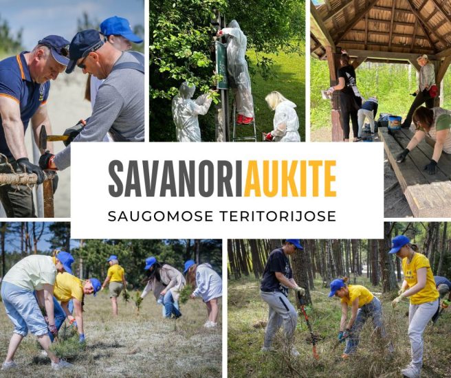 Jūsų komanda ieško prasmingos dienos gamtoje? SavanoriAUKITE!
