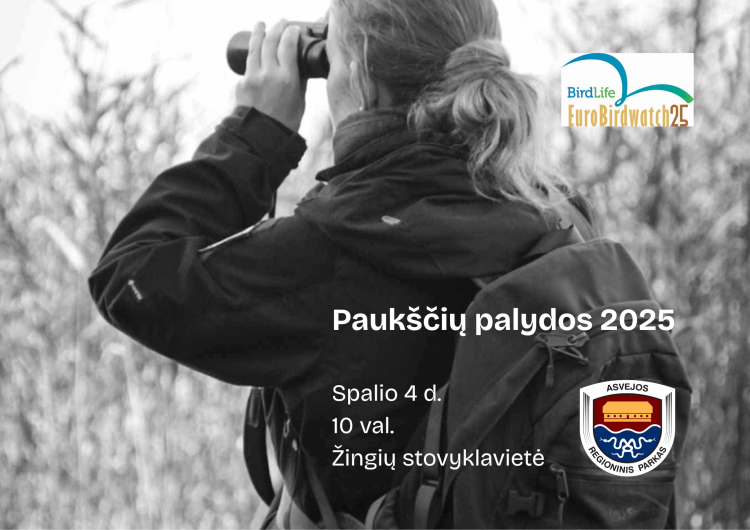 Palydėjome miegop žalčius, palydėkime į pietus ir paukščius
