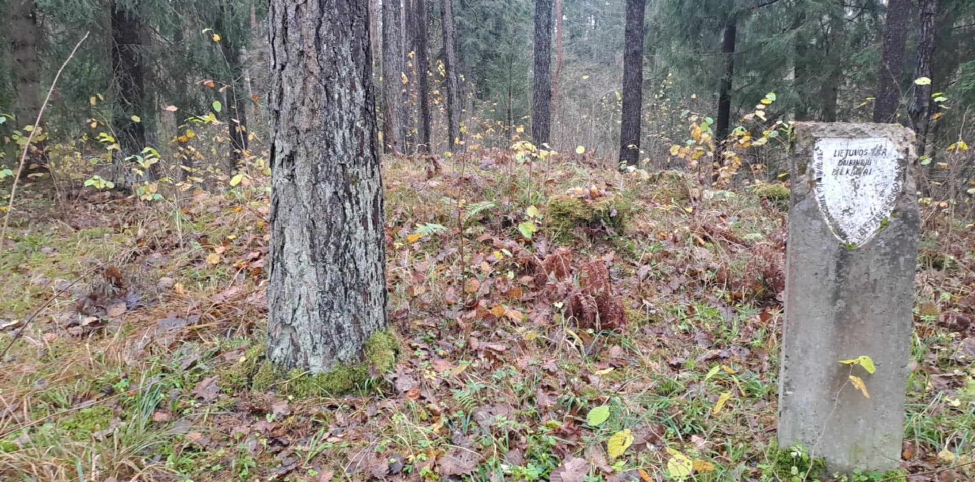 Prisimenant Ilges – tiltą tarp gyvųjų ir mirusiųjų