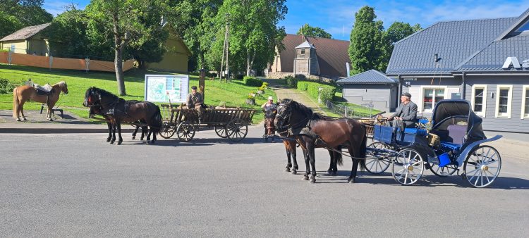 Žemaitukų kelionė į Dubingius!