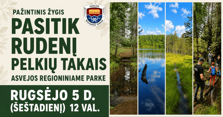 Pasitik rudenį pelkių takais Asvejos regioniniame parke!